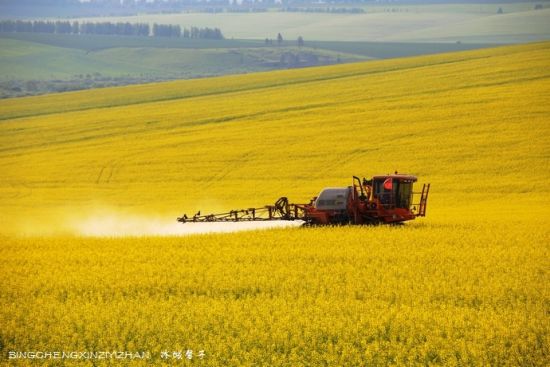 呼伦贝尔旅游博客_呼伦贝尔自由行博客