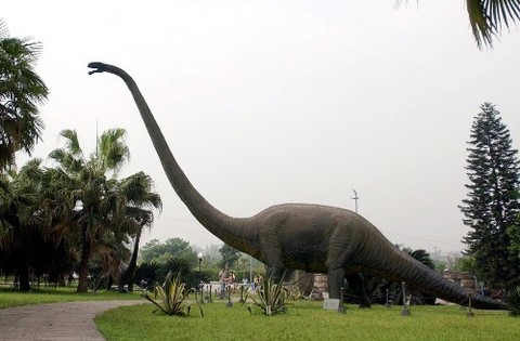 自贡自贡恐龙博物馆旅游_自贡自贡恐龙博物馆