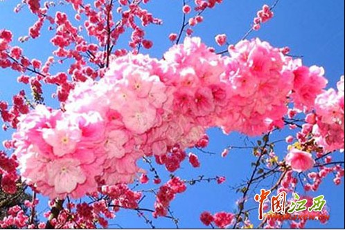 江西南昌热门景点推荐_江西南昌热门旅游景点