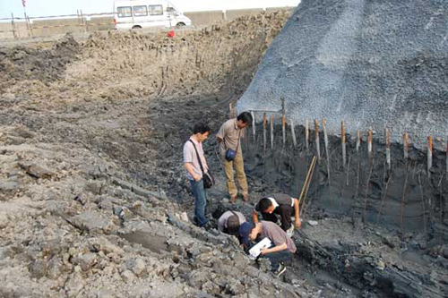 平湖市热门景点推荐_平湖市热门旅游景点介绍