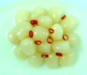 岳阳美食_岳阳美食推荐_岳阳小吃_岳阳小吃攻