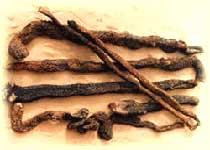 阿拉善盟旅游_阿拉善盟旅游攻略_阿拉善盟旅