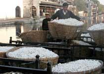 湖州特产_湖州特产有哪些_湖州特产是什么