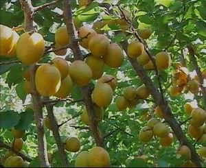 运城旅游_运城旅游攻略_运城旅游景点介绍_运