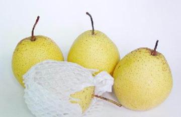 石家庄特产_石家庄特产有哪些_石家庄特产是