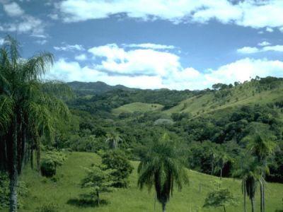 重庆重庆缙云山旅游_重庆重庆缙云山旅游攻略