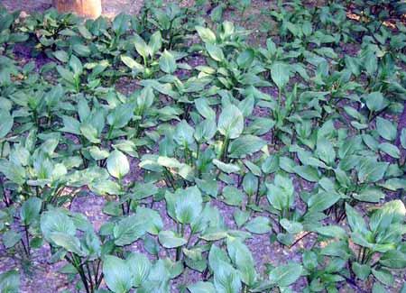 辽宁省热门景点推荐_辽宁省热门旅游景点介绍