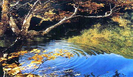 长白山北坡热门景点推荐_长白山北坡热门旅游