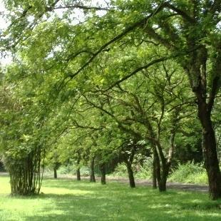 南平市热门景点推荐_南平市热门旅游景点介绍