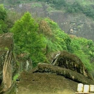 南平市热门景点推荐_南平市热门旅游景点介绍