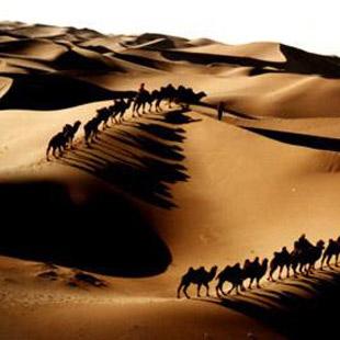 宁夏回族自治区热门景点推荐_宁夏回族自治区