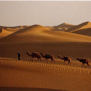 宁夏回族自治区热门景点推荐_宁夏回族自治区