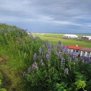 冰岛热门景点推荐_冰岛热门旅游景点介绍_冰