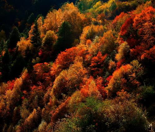 成都市热门景点推荐_成都市热门旅游景点介绍