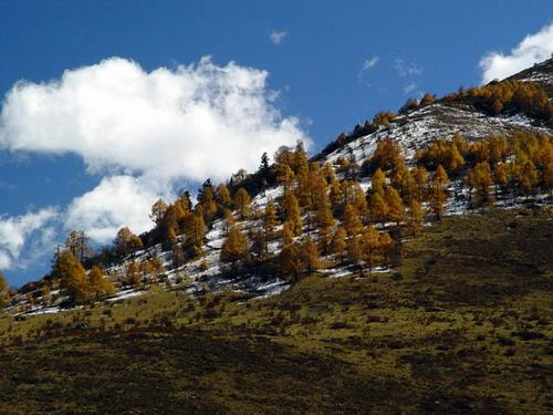 九寨沟景区热门景点推荐_九寨沟景区热门旅游