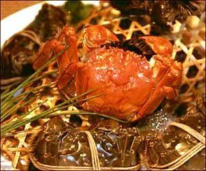 阳澄湖大闸蟹热门景点推荐_阳澄湖大闸蟹热门