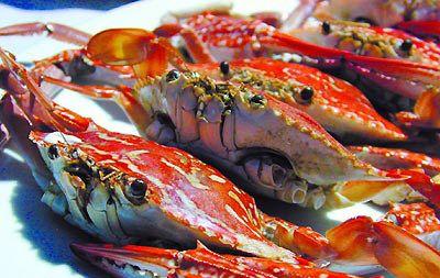 阳澄湖大闸蟹热门景点推荐_阳澄湖大闸蟹热门