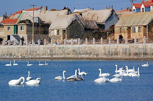 山东省热门景点推荐_山东省热门旅游景点介绍