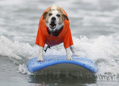 冲浪热门景点推荐_冲浪热门旅游景点介绍_冲