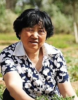 宁夏回族自治区热门景点推荐_宁夏回族自治区