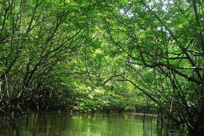 印尼民丹岛热门景点推荐_印尼民丹岛热门旅游
