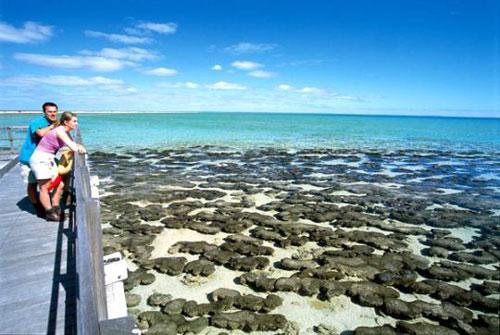 冲浪热门景点推荐_冲浪热门旅游景点介绍_冲