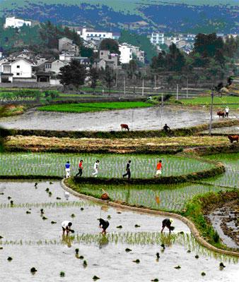 绩溪热门景点推荐_绩溪热门旅游景点介绍_绩