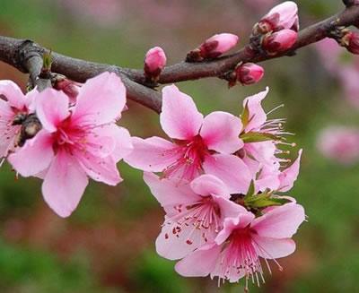 湖北省热门景点推荐_湖北省热门旅游景点介绍