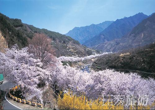 韩国热门景点推荐_韩国热门旅游景点介绍_韩