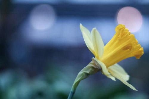 德克萨斯州热门景点推荐_德克萨斯州热门旅游