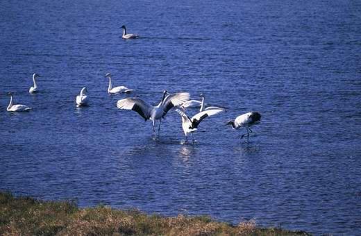 鸡西市热门景点推荐_鸡西市热门旅游景点介绍