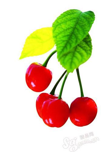 采摘热门景点推荐_采摘热门旅游景点介绍_采