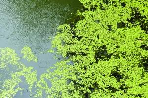 通州区热门景点推荐_通州区热门旅游景点介绍