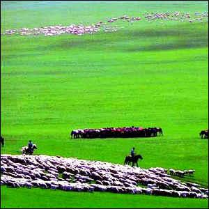 海拉尔热门景点推荐_海拉尔热门旅游景点介绍