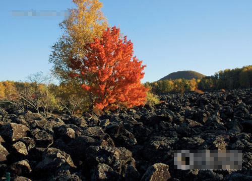 黑河五大连池旅游_黑河五大连池旅游攻略_五