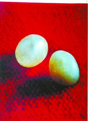 房山区热门景点推荐_房山区热门旅游景点介绍