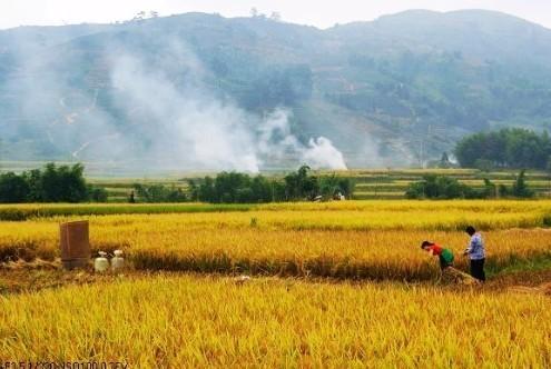 福建省热门景点推荐_福建省热门旅游景点介绍