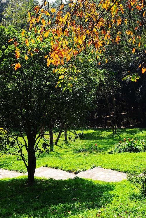 贵阳贵阳森林公园旅游_贵阳贵阳森林公园旅游