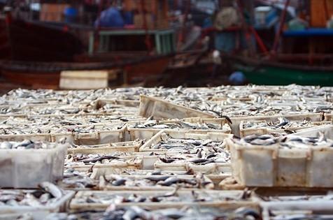 北海市热门景点推荐_北海市热门旅游景点介绍