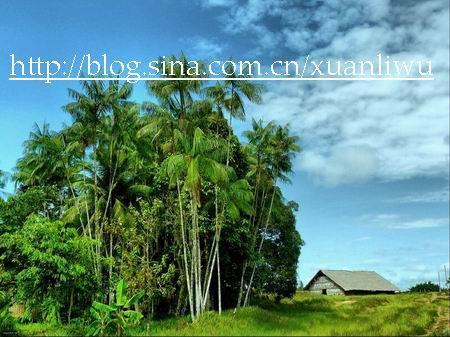 巴西旅游博客_巴西自由行博客