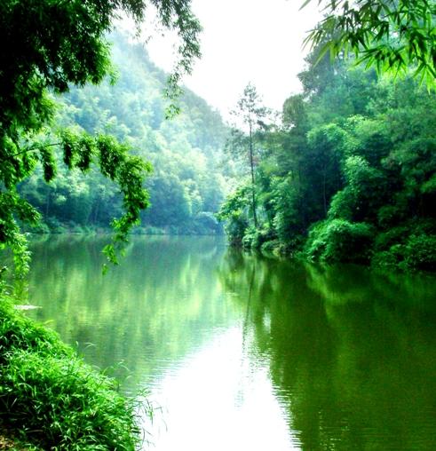 自贡市热门景点推荐_自贡市热门旅游景点介绍