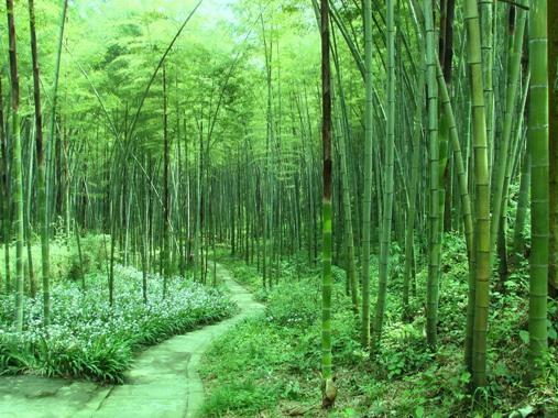 达州市热门景点推荐_达州市热门旅游景点介绍