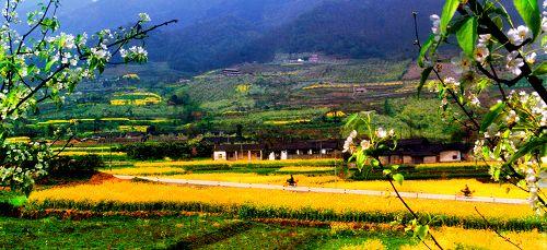 绵竹热门景点推荐_绵竹热门旅游景点介绍_绵