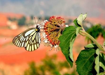 昆明市热门景点推荐_昆明市热门旅游景点介绍