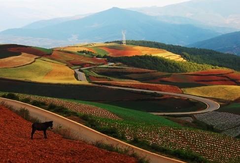 昆明市热门景点推荐_昆明市热门旅游景点介绍