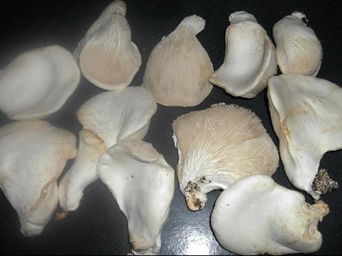 通州区热门景点推荐_通州区热门旅游景点介绍