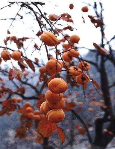 房山区热门景点推荐_房山区热门旅游景点介绍