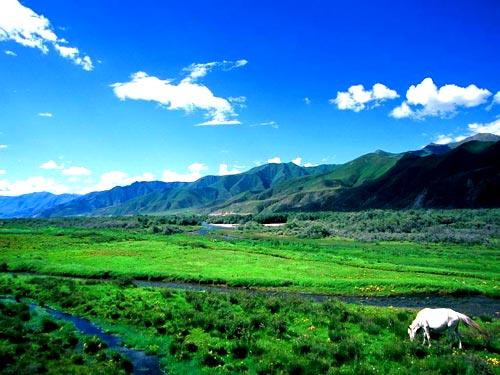 林芝热门景点推荐_林芝热门旅游景点介绍_林