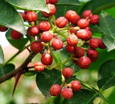 房山区热门景点推荐_房山区热门旅游景点介绍