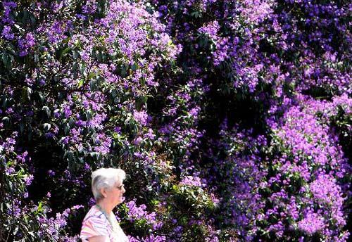 巴西旅游博客_巴西自由行博客